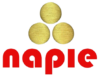 napie